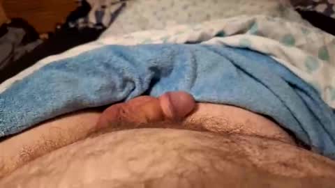 Harry 13 online show from 02-28-26, 06:36