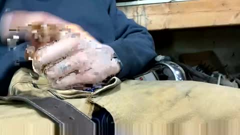 copart84 online show from 12-28-24, 05:03