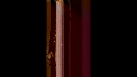 Corrado online show from 02-08-25, 08:52