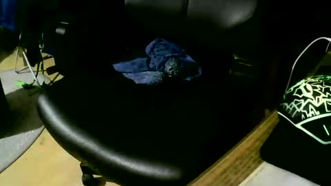 coyote017 online show from 11-17-25, 09:31