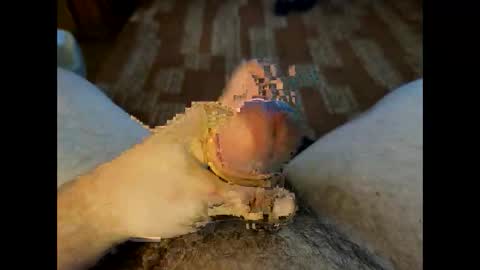 Crazycock online show from 03-23-26, 04:22