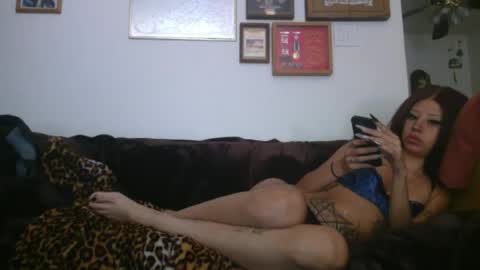 Snapshot of creature_nymph chatting on 06-25-26, 06:45 bunni xoxo online show from 06-25-26, 06:45