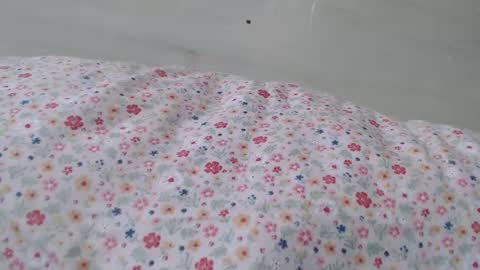 cristiyna36 online show from 03-26-26, 12:11