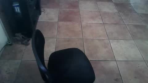 crossdressernola504 online show from 02-26-26, 06:29