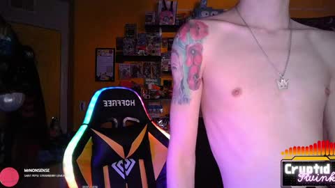 CryptidTwink online show from 04-20-26, 06:05