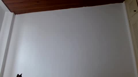 Snapshot of crystal_starx chatting on 07-18-26, 03:49 Crystal Blaze online show from 07-18-26, 03:49