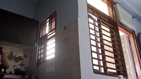 cuddlemuffins online show from 03-01-26, 05:42