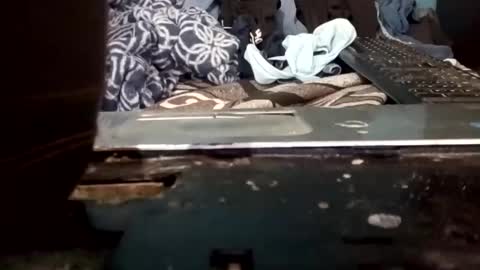 cumbian_chero online show from 05-22-26, 02:44