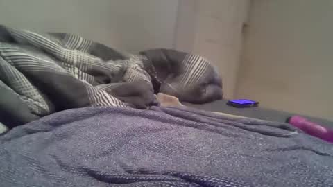 cummbumm69 online show from 02-14-26, 08:16