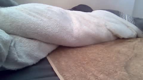 cummbumm69 online show from 06-08-26, 04:40