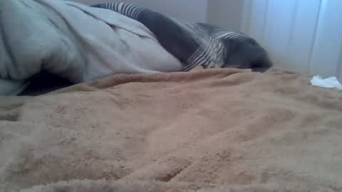 cummbumm69 online show from 07-12-26, 10:28