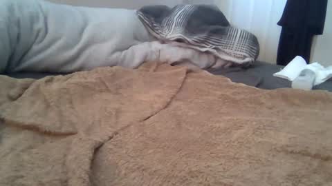 cummbumm69 online show from 08-02-26, 12:14