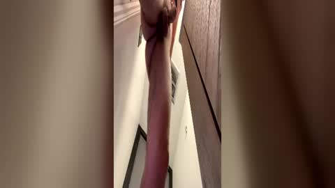 cummygummy355 online show from 06-22-26, 04:20