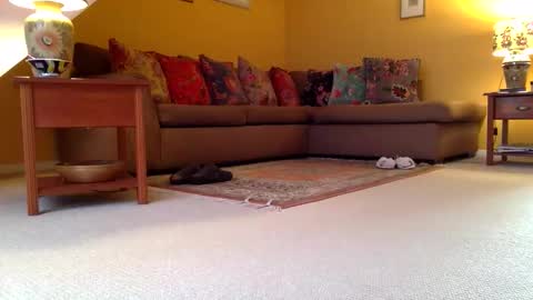 cumonherguys online show from 11-07-25, 08:25