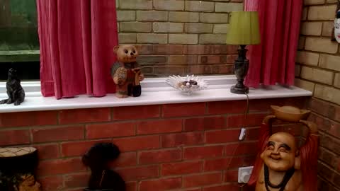 Snapshot of cumonherguys chatting on 06-04-26, 01:50 cumonherguys online show from 06-04-26, 01:50