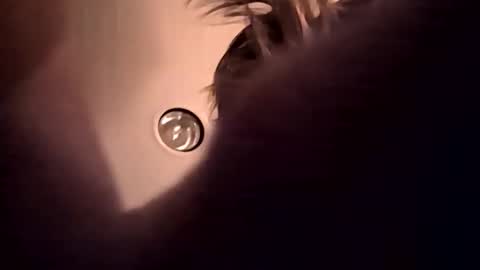 cumupxxx online show from 11-17-25, 11:49