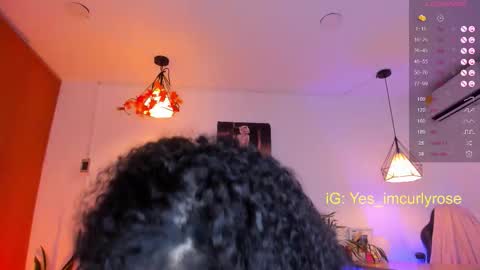 Rose online show from 11-12-25, 10:52