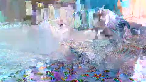 cute_savanna online show from 02-11-26, 08:19