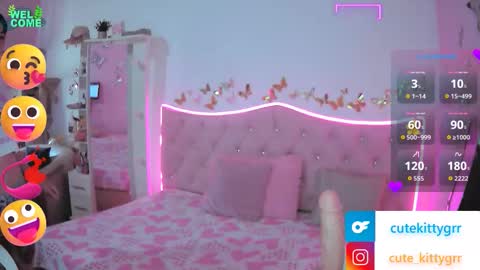 Kitty online show from 11-27-25, 03:03