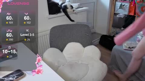 Alice  online show from 10-22-25, 10:04