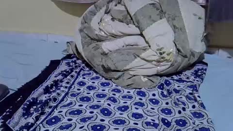 Snapshot of cuttepappy chatting on 06-15-26, 08:22 cuttepappy online show from 06-15-26, 08:22