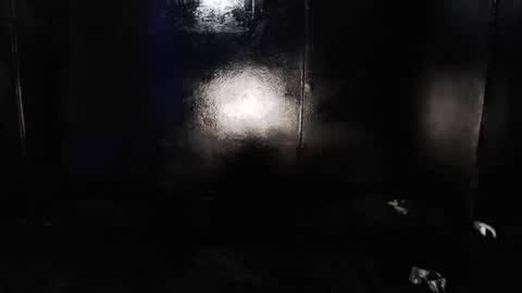 Snapshot of cybertrouble_ chatting on 05-15-26, 11:45 Nikki online show from 05-15-26, 11:45