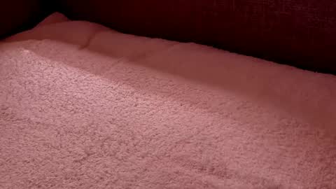 Snapshot of dad_next_door chatting on 02-27-25, 09:58 Richard online show from 02-27-25, 09:58