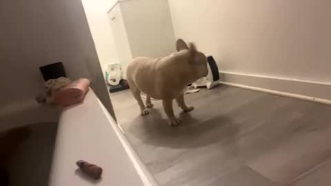 daddeezroom online show from 02-02-25, 04:26