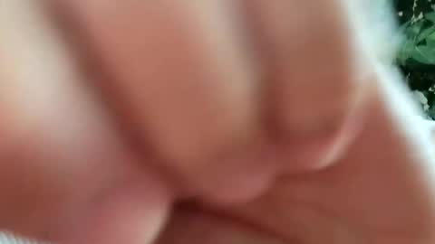 Snapshot of daddydick926 chatting on 09-11-25, 01:22 daddydick926 online show from 09-11-25, 01:22