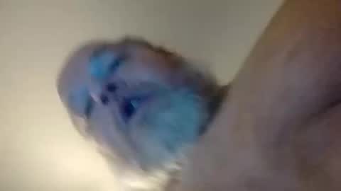 Daddyshome4115 online show from 12-20-25, 06:42