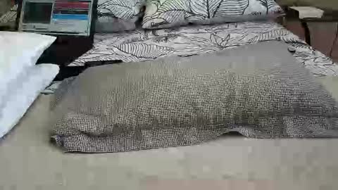 daddyslittleebony online show from 04-12-26, 11:26