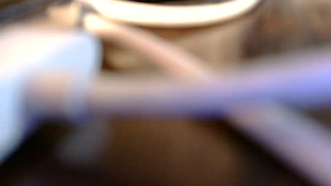 daddysmalls online show from 07-06-26, 05:59