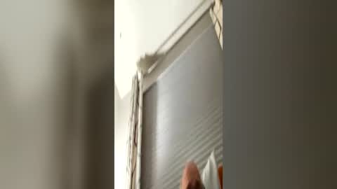 daddyweis online show from 06-15-26, 02:14