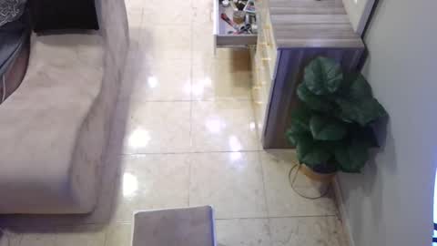 Snapshot of daffiih chatting on 02-16-25, 12:54 Deffa online show from 02-16-25, 12:54