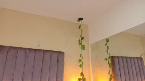 Dahlia online show from 03-29-26, 08:47