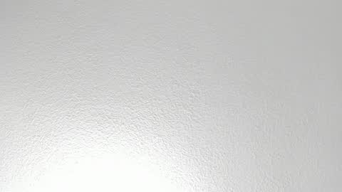 D A I S Y  online show from 10-22-25, 12:05