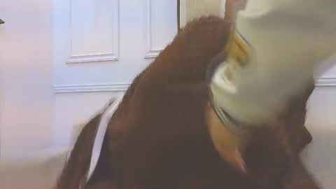 Snapshot of daisy_price chatting on 07-10-26, 10:40 Daisy Price online show from 07-10-26, 10:40