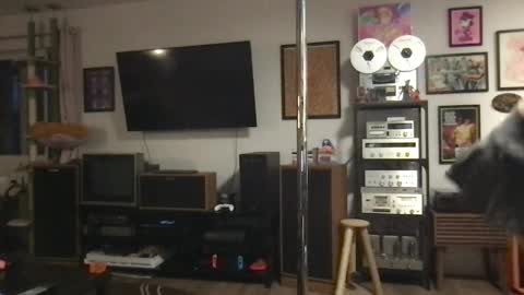 Snapshot of daisymynx chatting on 04-06-26, 03:15 daisymynx online show from 04-06-26, 03:15