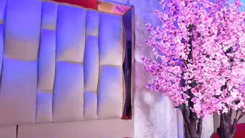 Dakota online show from 03-28-26, 04:23