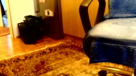 Dammerl online show from 04-06-26, 05:36