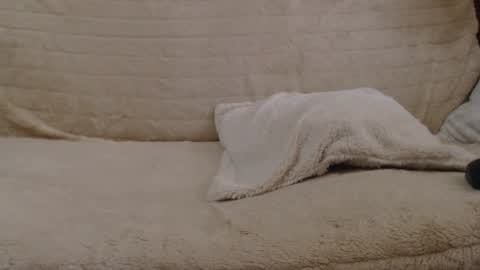 Snapshot of danaperfect chatting on 01-27-25, 11:00 Daniella online show from 01-27-25, 11:00