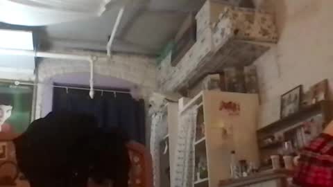 Snapshot of danceissexisbeauty2 chatting on 12-04-24, 08:12 Your submissive patient online show from 12-04-24, 08:12