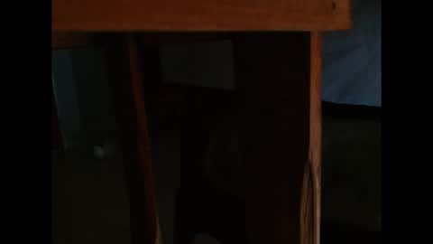 Snapshot of dangerhook chatting on 11-24-25, 11:32 dangerhook online show from 11-24-25, 11:32