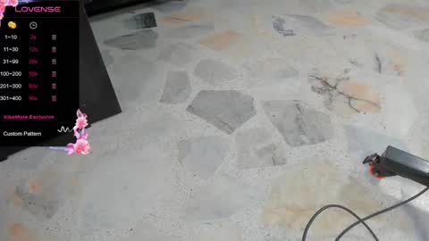 Snapshot of dani_ary chatting on 02-25-25, 02:11 DANI online show from 02-25-25, 02:11