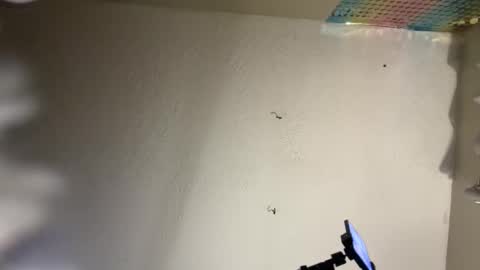 Snapshot of danidragon69 chatting on 02-08-25, 10:50 Dani Dragon online show from 02-08-25, 10:50