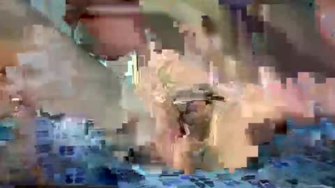 daniel_griffin online show from 05-20-26, 06:47