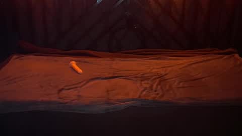 danielareign online show from 12-20-25, 07:26