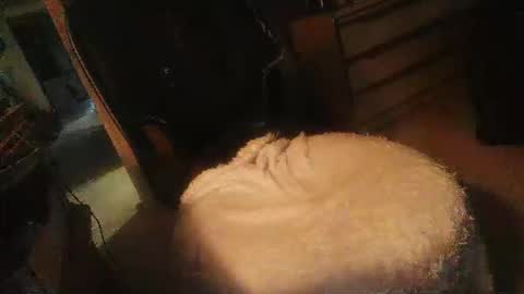 Danielle online show from 04-16-26, 11:29