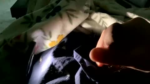 Snapshot of dannyboy621 chatting on 11-09-25, 01:53 dannyboy621 online show from 11-09-25, 01:53