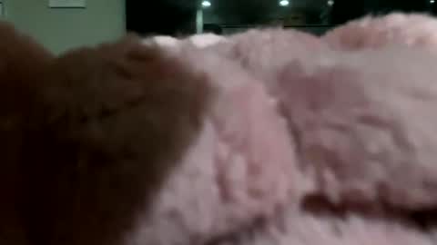 Snapshot of dannyboy621 chatting on 11-10-25, 02:10 dannyboy621 online show from 11-10-25, 02:10